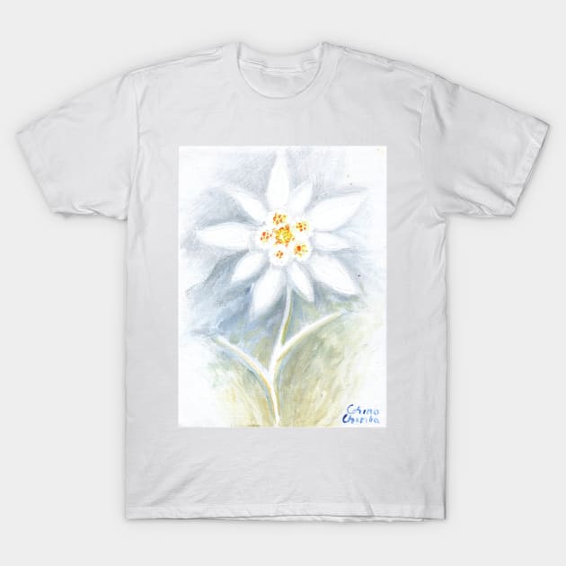 Leontopodium nivale or the  edelweiss flower T-Shirt by CORinAZONe